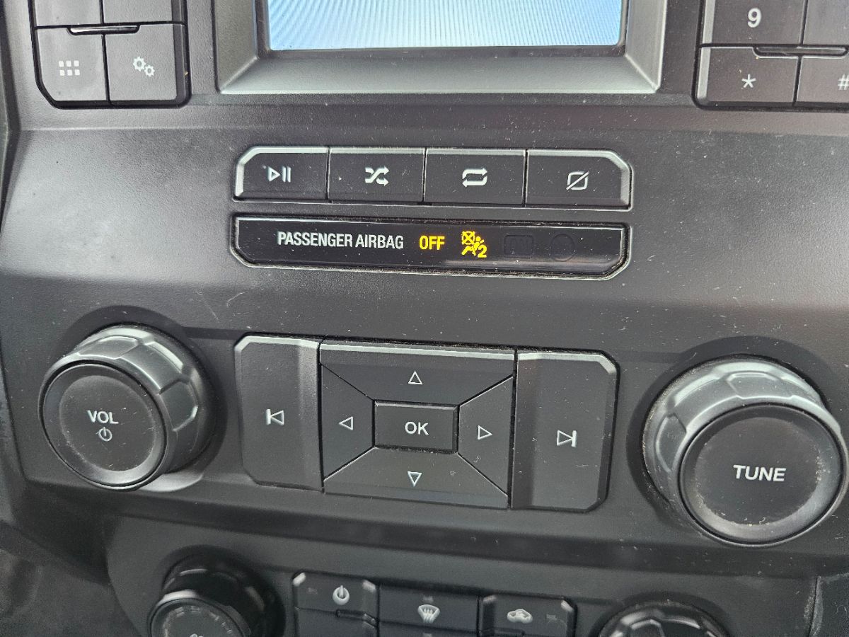 2019 Ford F-150 XL - Photo 11
