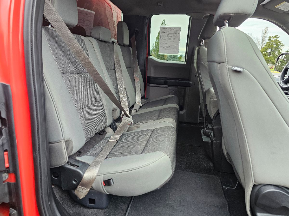2019 Ford F-150 XL - Photo 14
