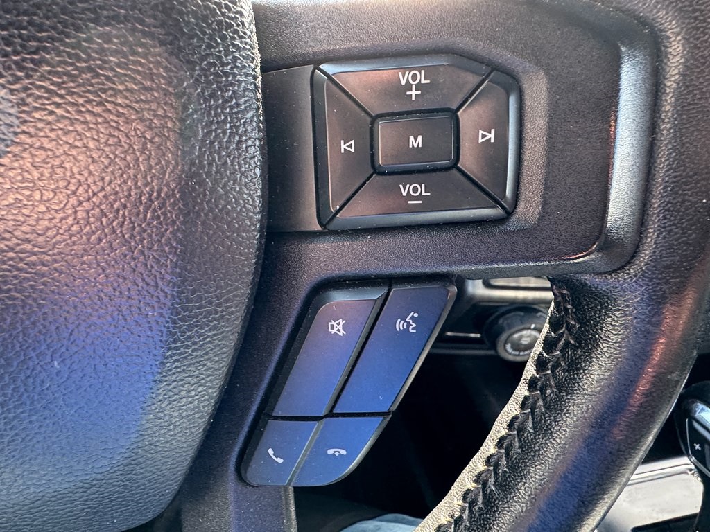 2019 Ford F-150 XLT photo 17