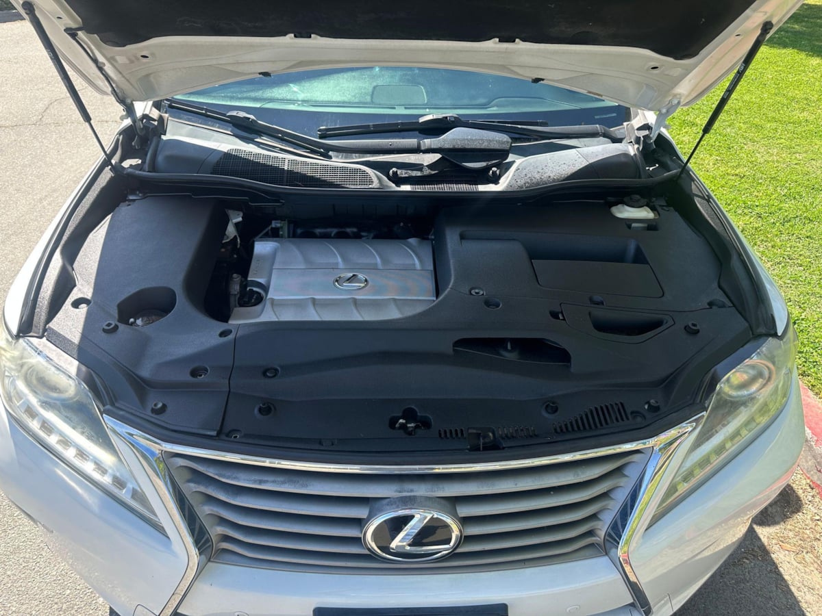 Image #11