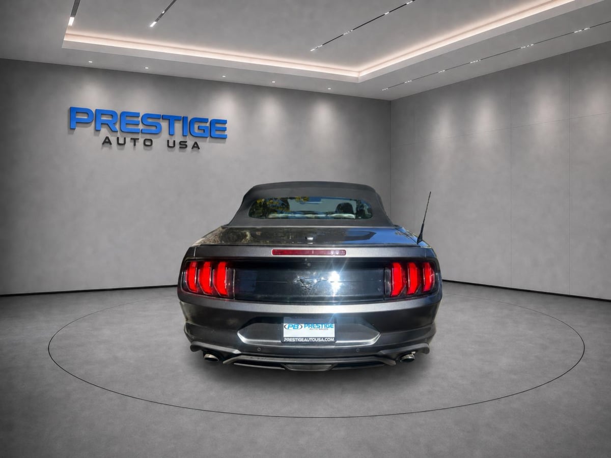 Image #14