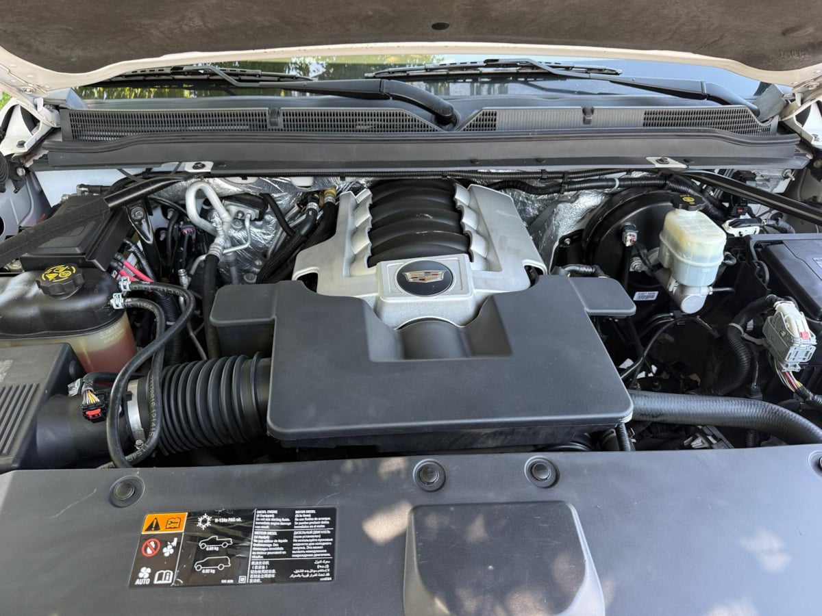 Image #24