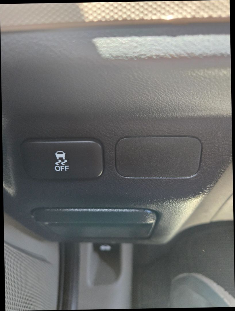 2009 Honda Element LX photo 21
