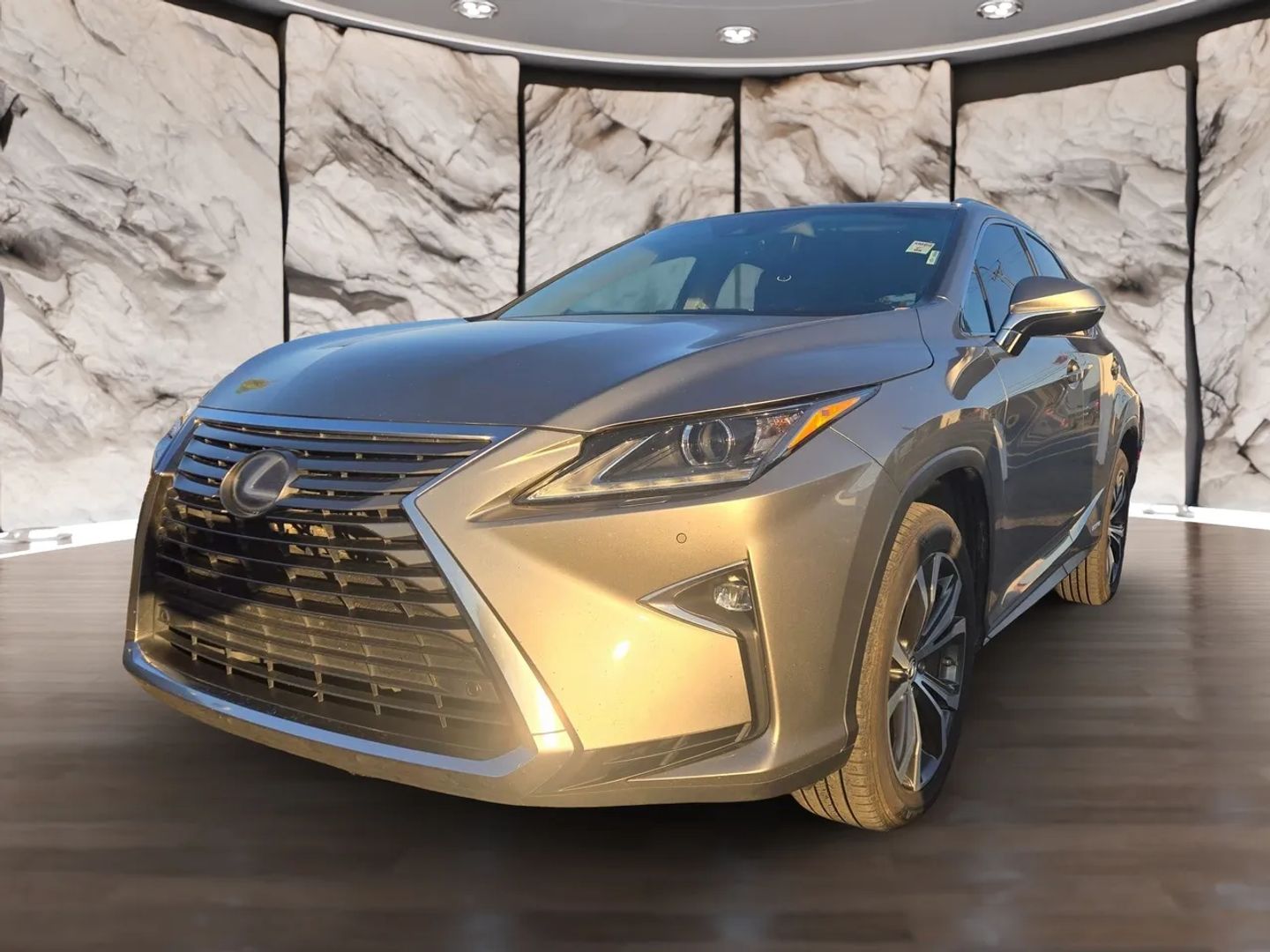 2019 Lexus RX 450h photo 2