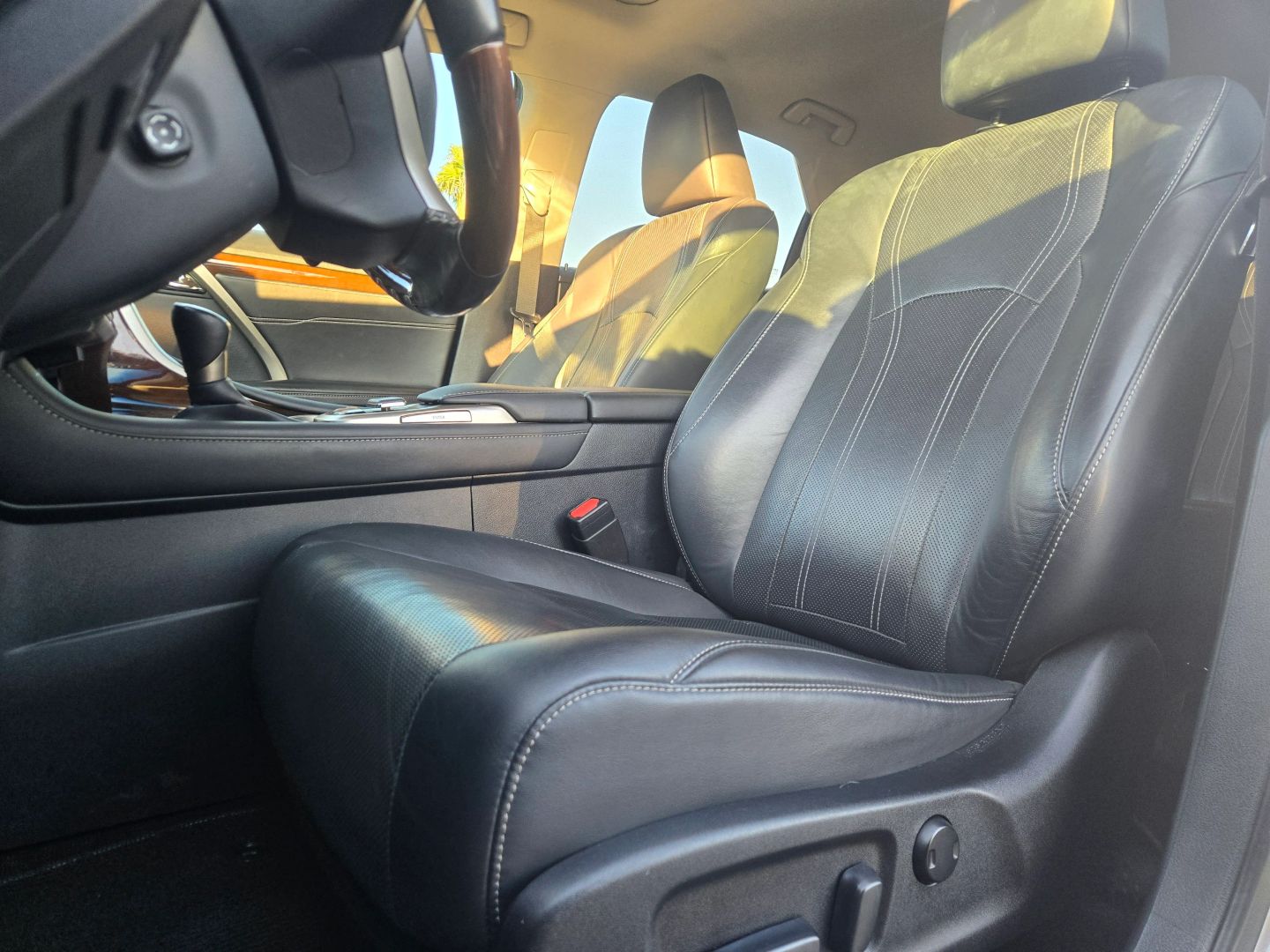 2019 Lexus RX 450h photo 10