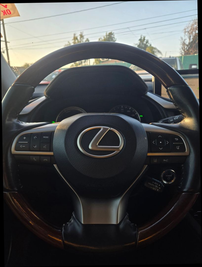 2019 Lexus RX 450h photo 19