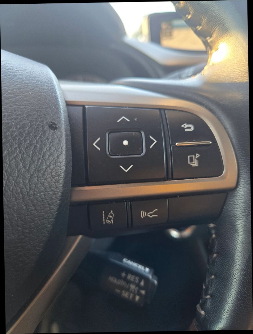 2019 Lexus RX 450h photo 20