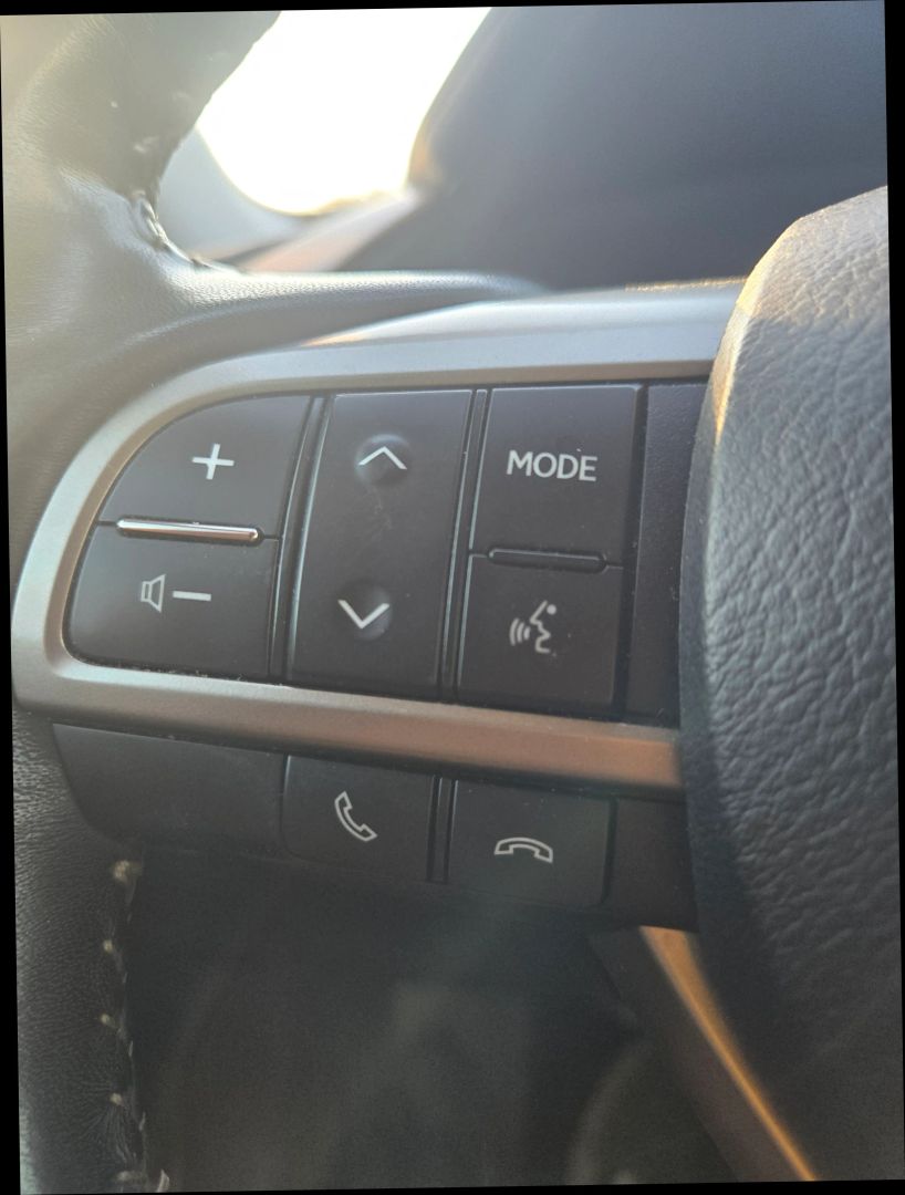 2019 Lexus RX 450h photo 21