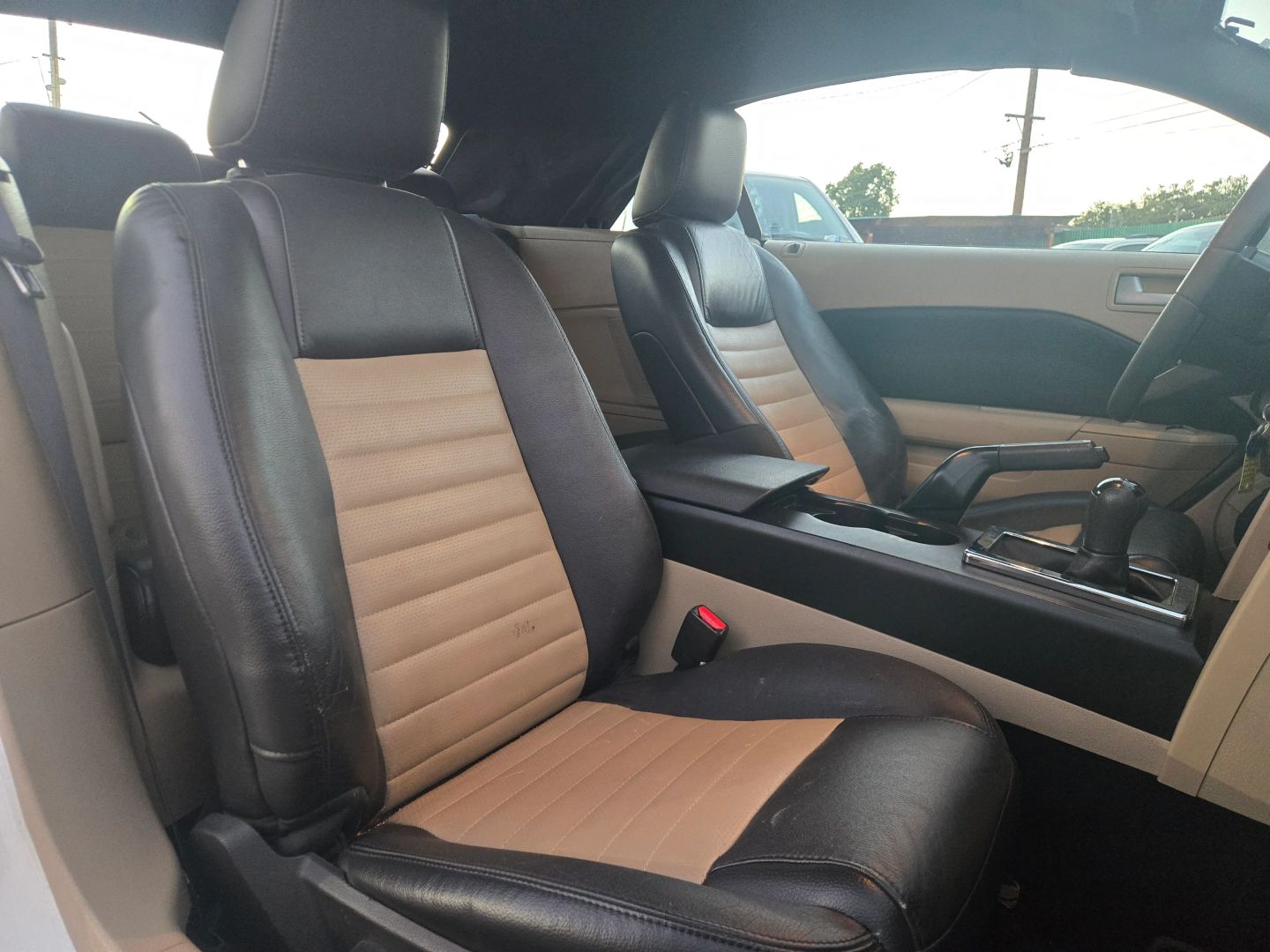 2008 Ford Mustang GT Premium photo 13