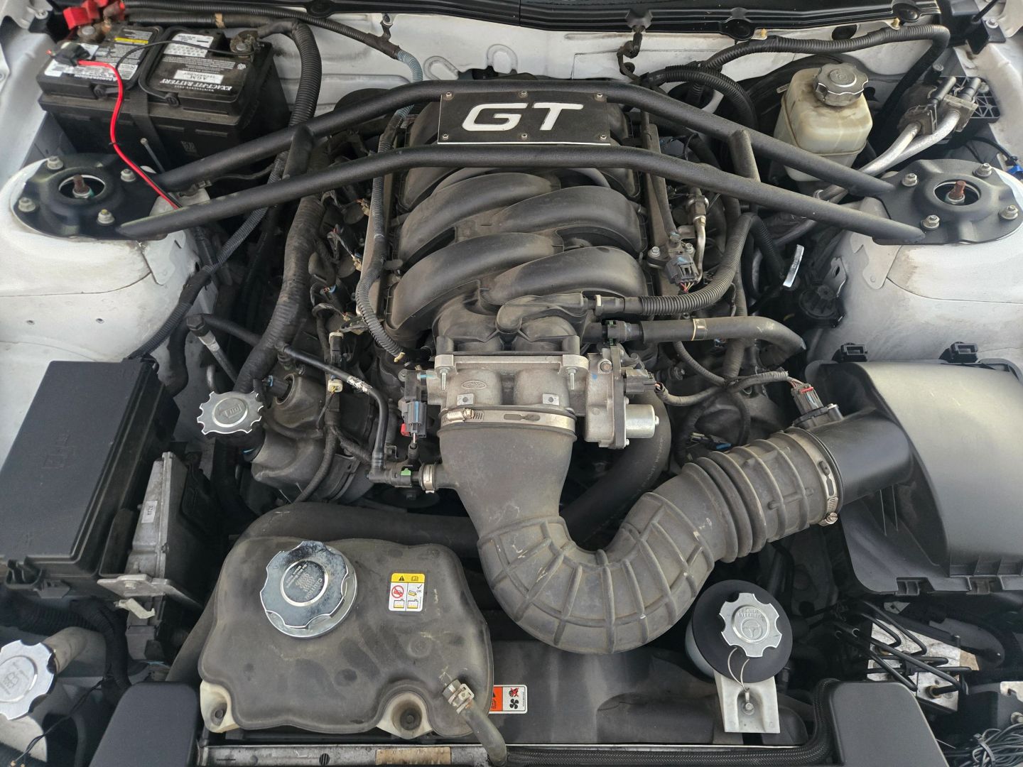 2008 Ford Mustang GT Premium photo 22