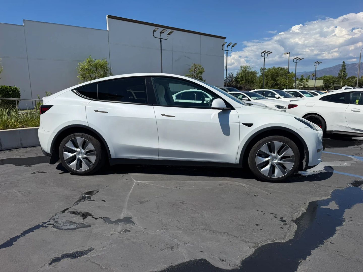 Photo 4 of this Tesla Model Y