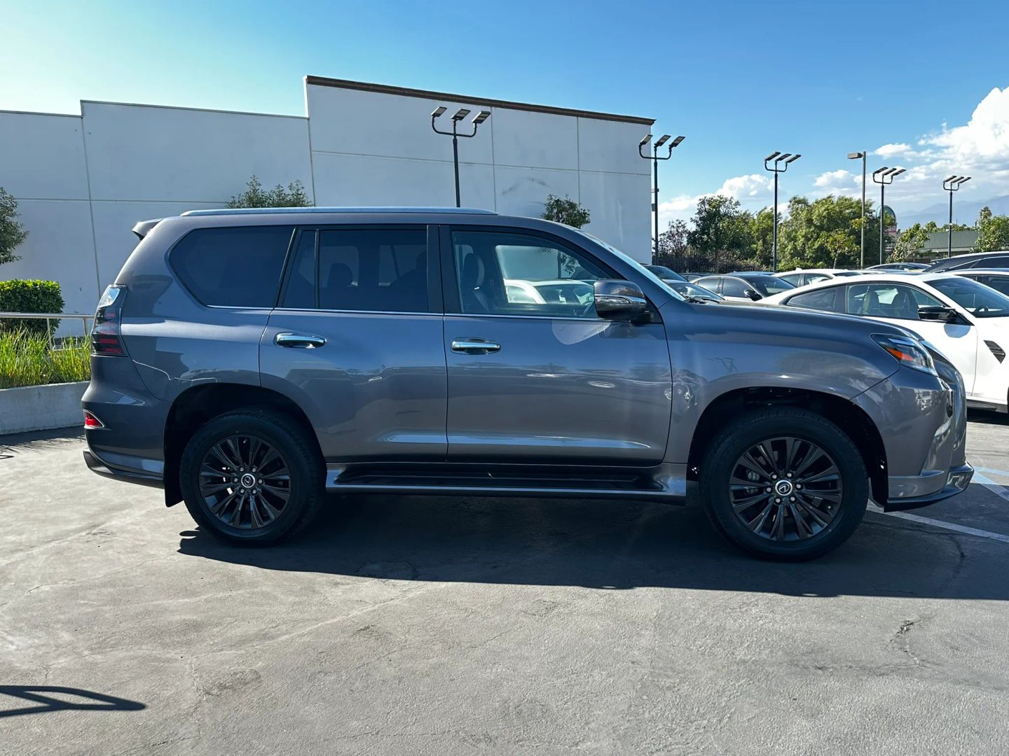 Photo 6 of this Lexus GX 460