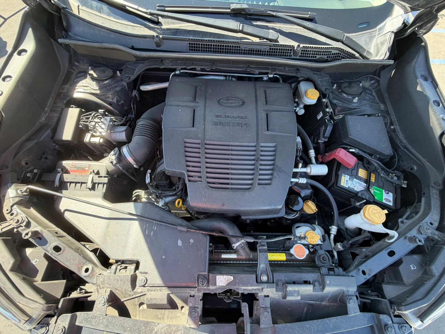 Photo 31 of this Subaru Forester