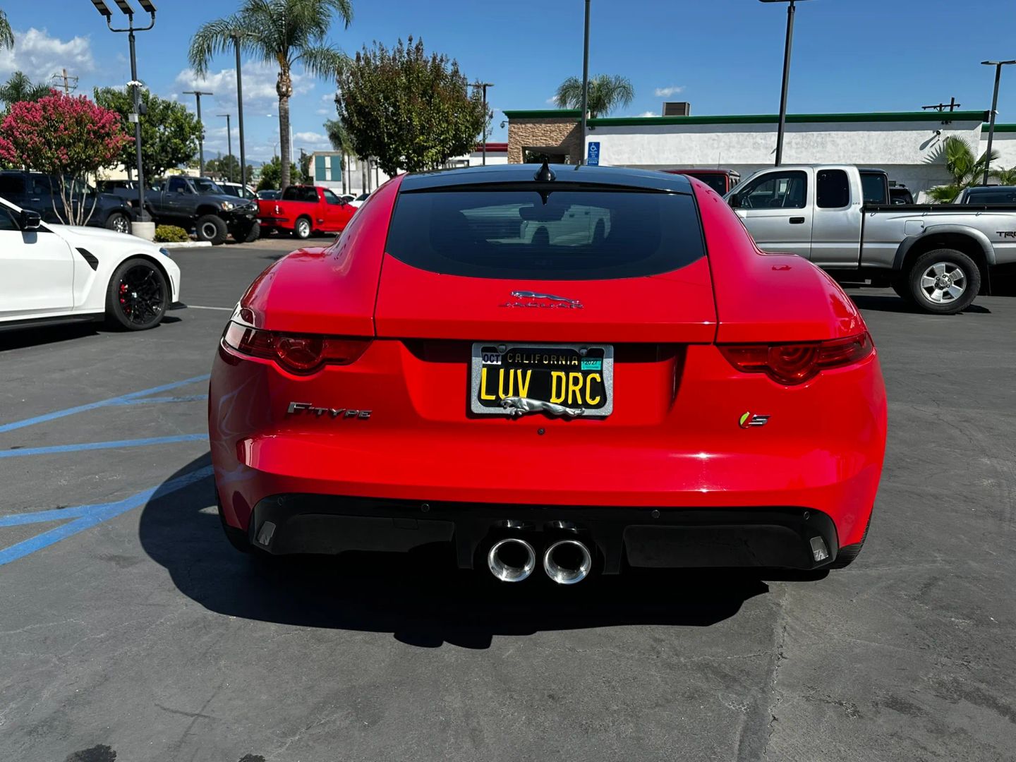 Image #8
