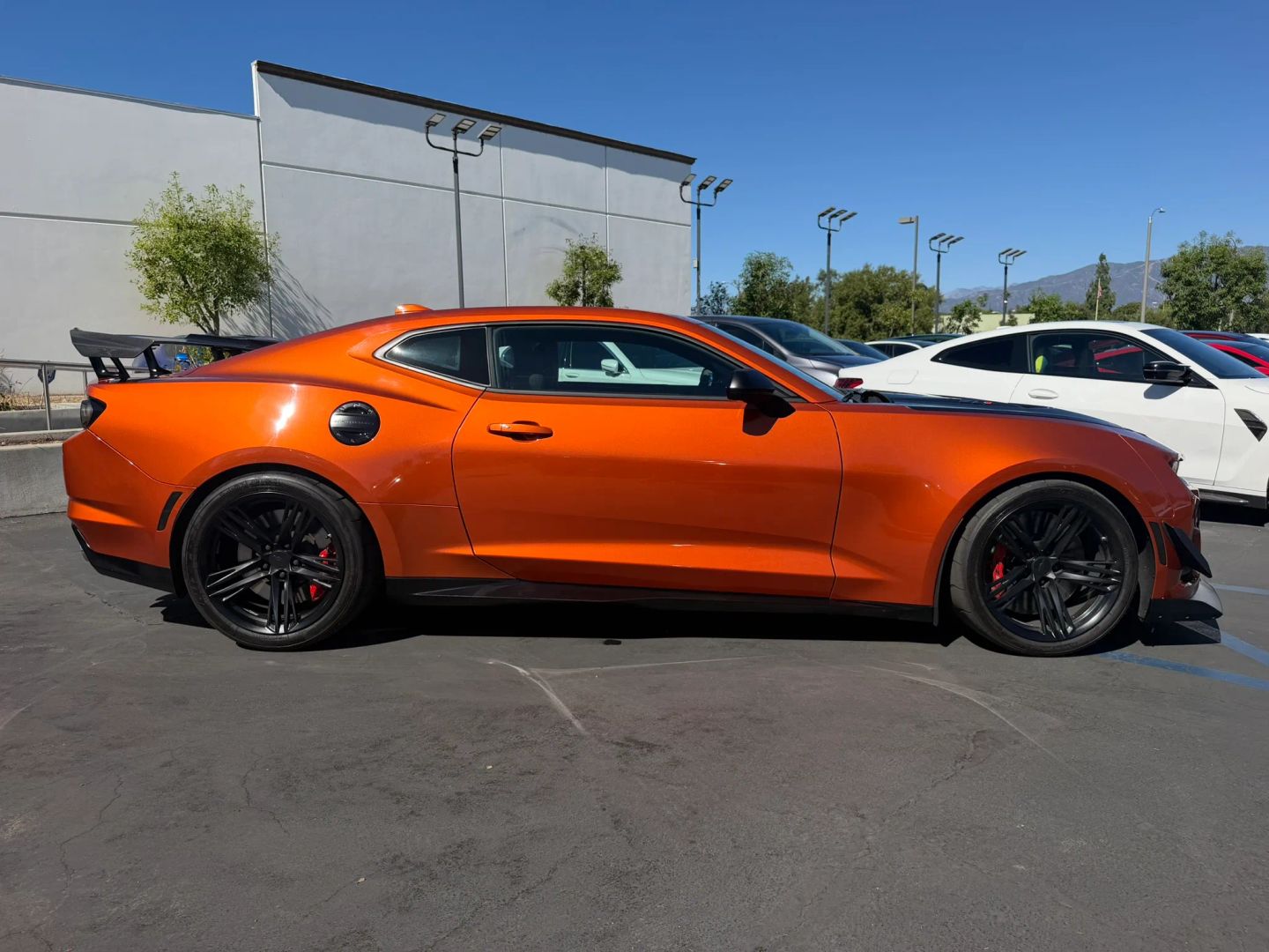 Image #6