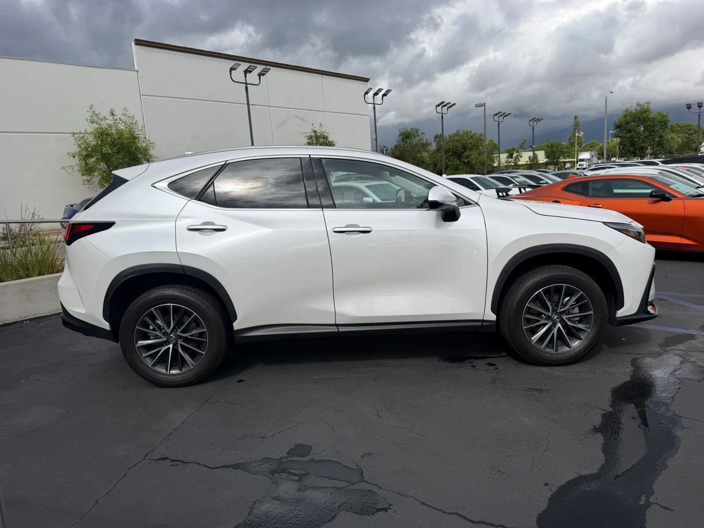 Photo 5 of this Lexus NX 350