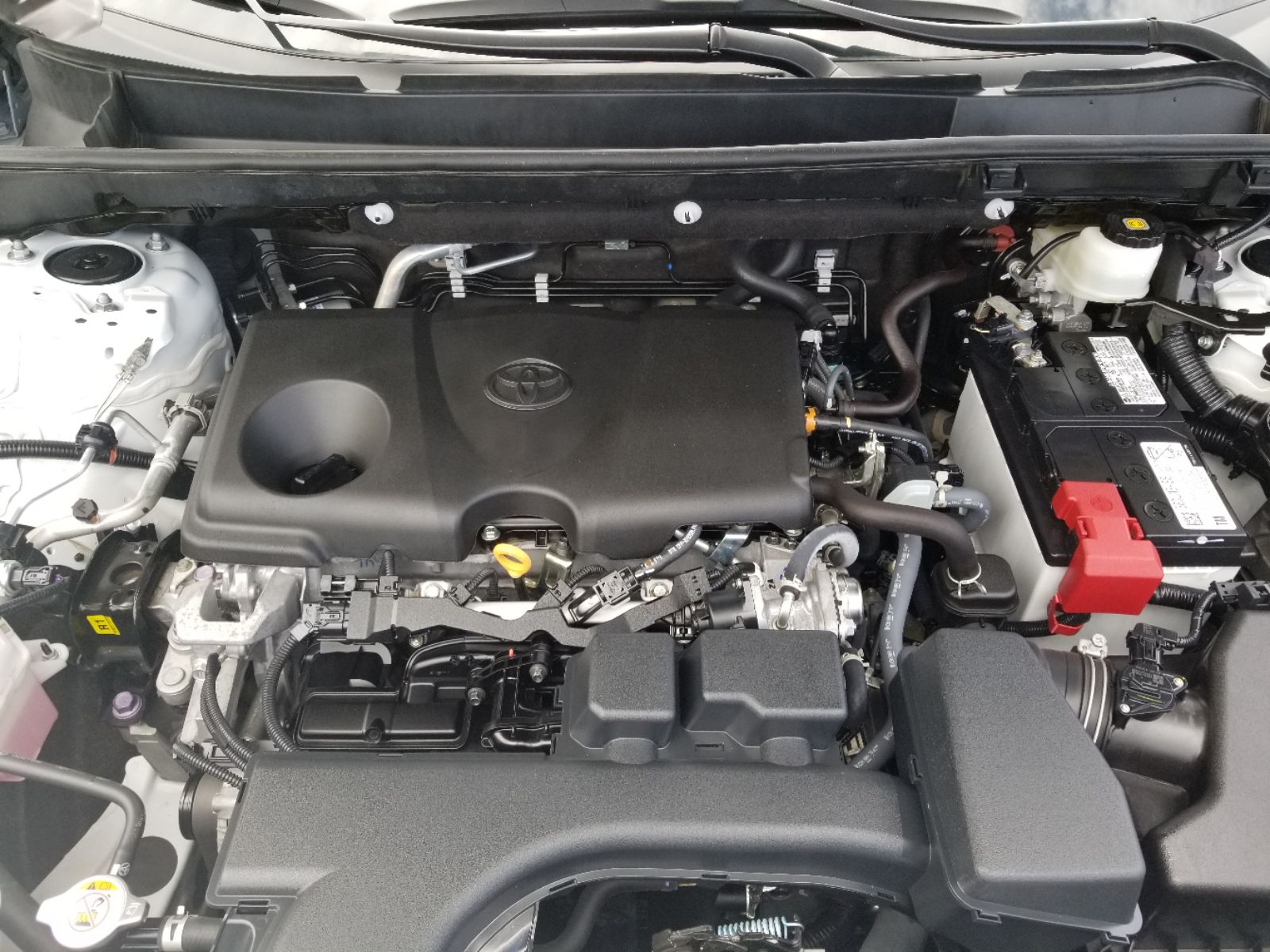 2023 Toyota RAV4 XLE Premium photo 11