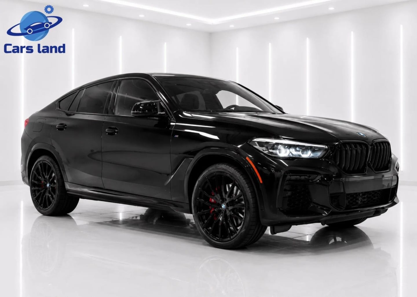 2022 BMW X6 xDrive40i's photo