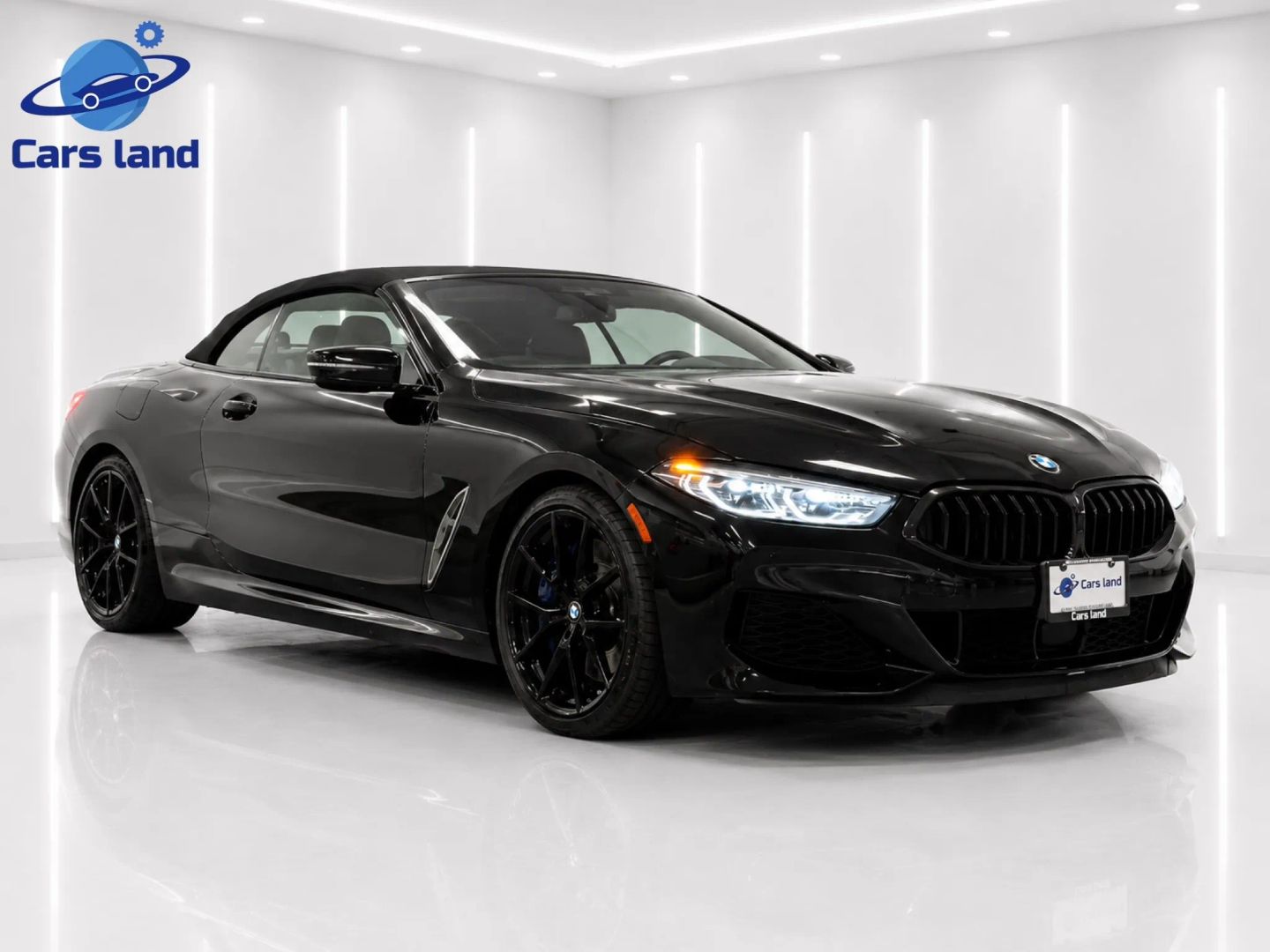 2019 BMW 8 Series M850i xDrive Convertible's photo