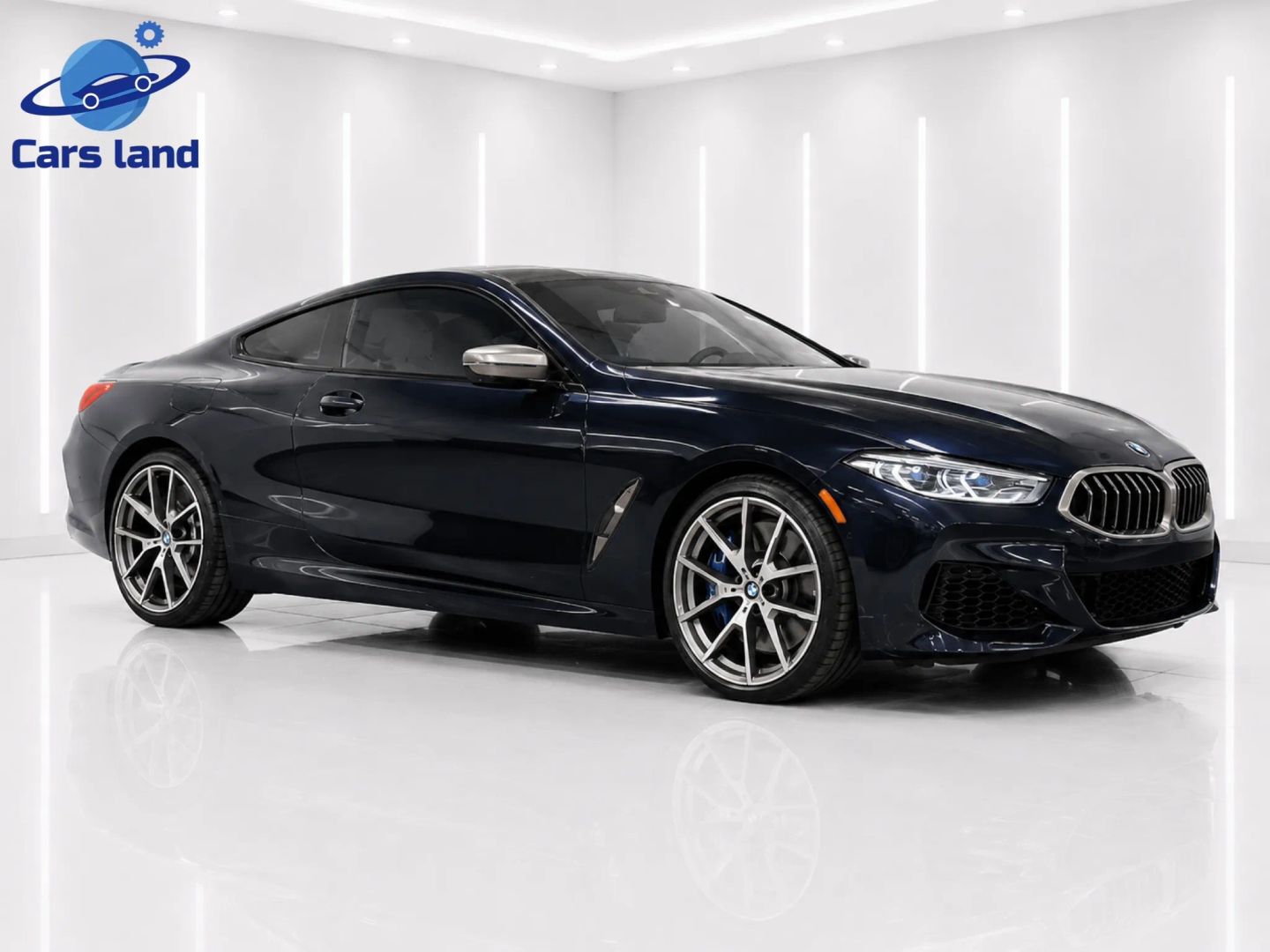 2019 BMW 8 Series M850i xDrive Coupe's photo