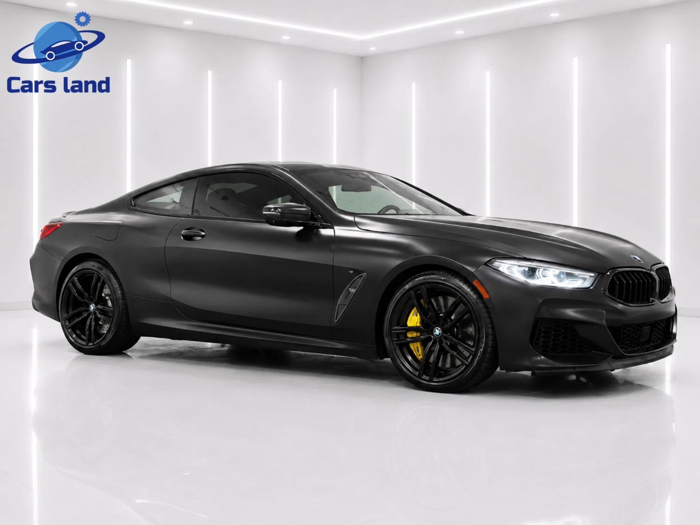 2019 BMW 8 Series M850i xDrive Coupe's photo