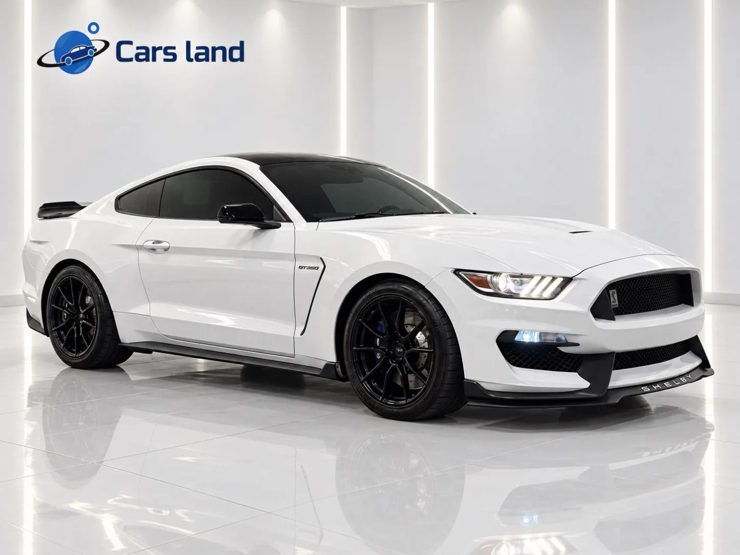 2016 Ford Mustang Shelby GT350