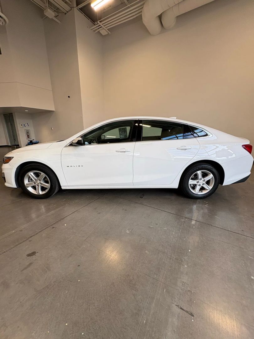 2024 Chevrolet Malibu 1LT photo 2