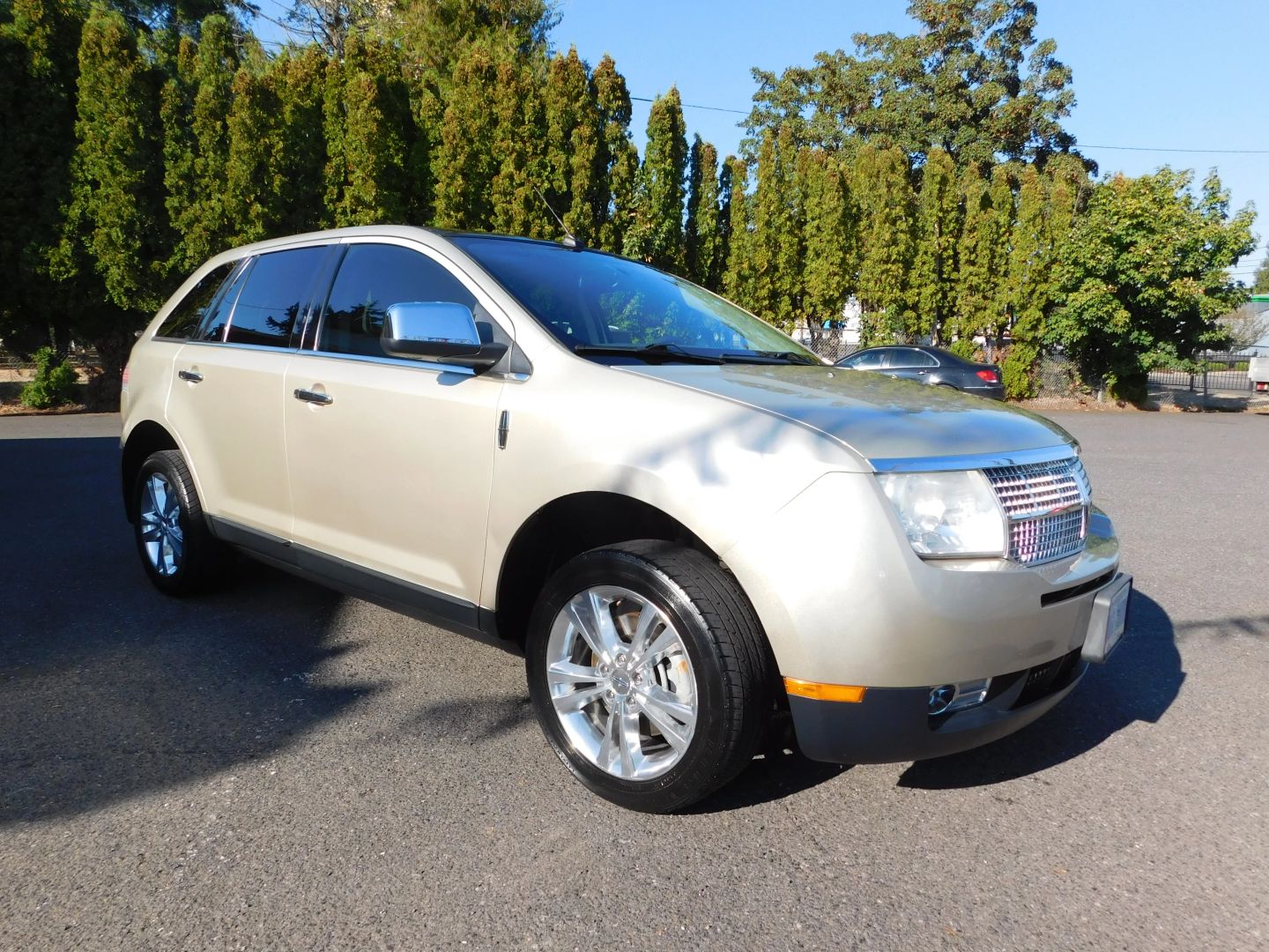 2010 Lincoln MKX photo 6