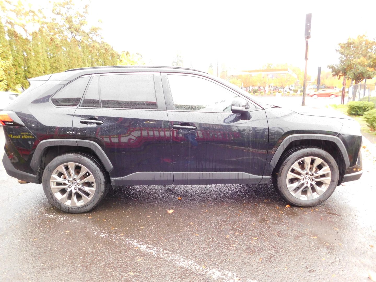 2019 Toyota RAV4 XLE Premium Sport photo 2