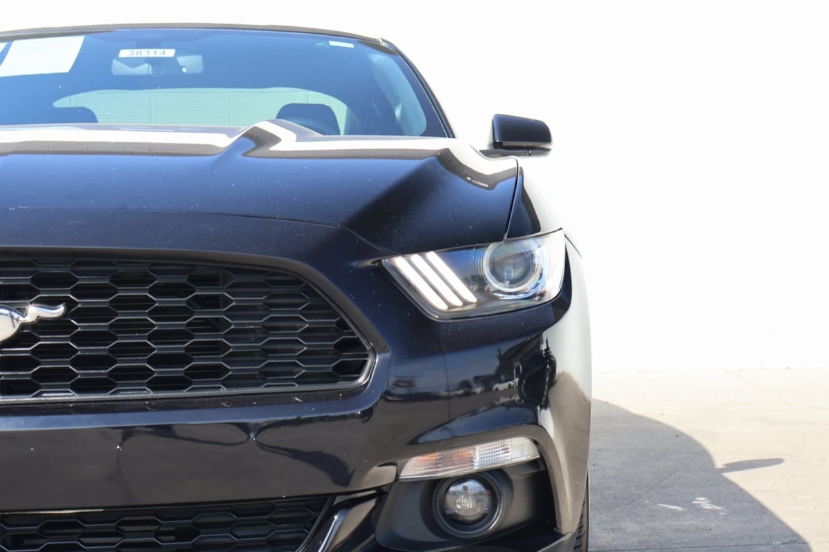 2016 Ford Mustang EcoBoost Premium photo 3