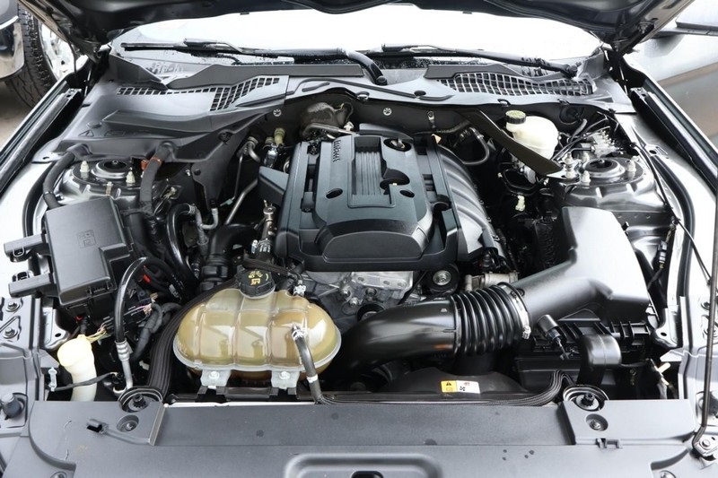 2015 Ford Mustang EcoBoost photo 13