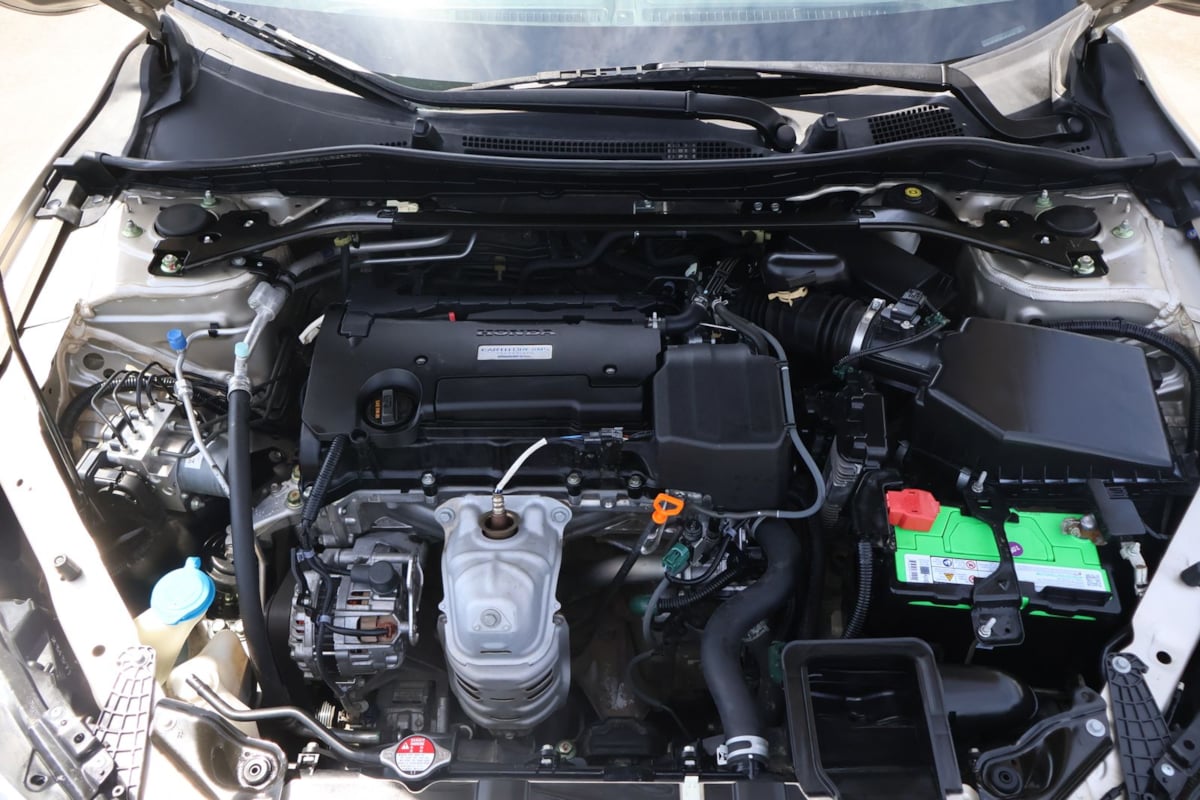 Image #12
