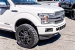 2018 Ford F-150 Platinum photo 6