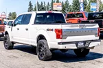 2018 Ford F-150 Platinum photo 15