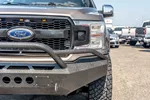2019 Ford F-150 King Ranch photo 6