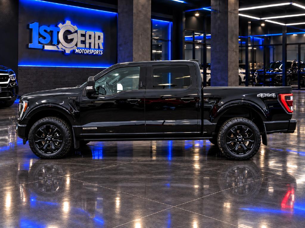 Ford F-150 photo 9