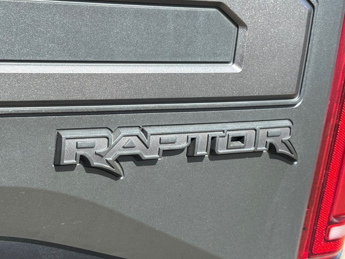 2020 Ford F-150 Raptor - Photo 10