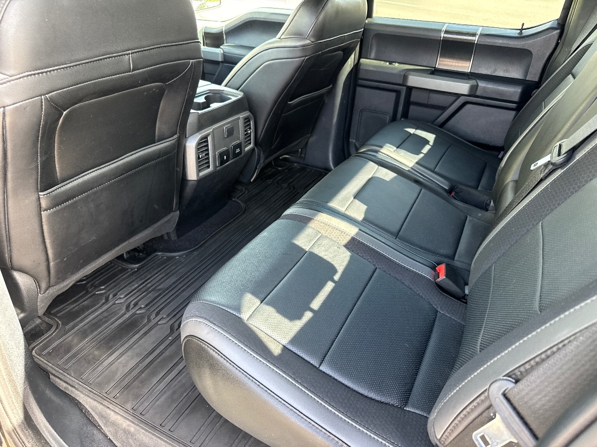 2020 Ford F-150 Raptor - Photo 15