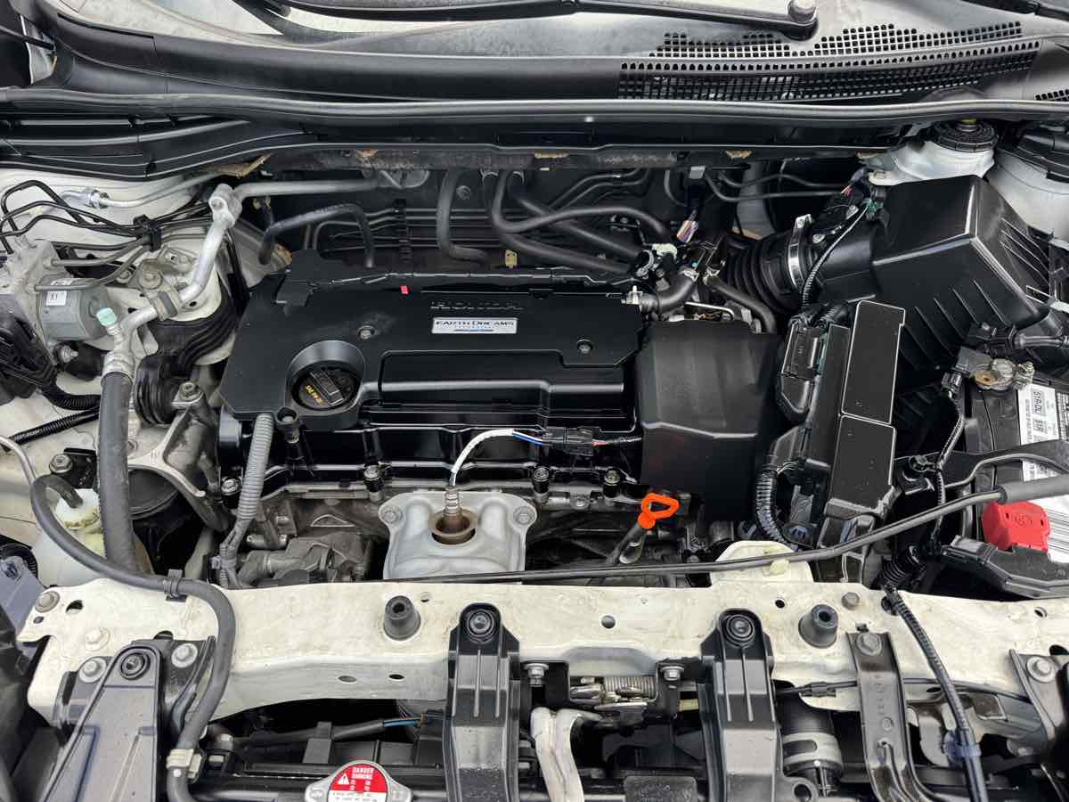 Image #8