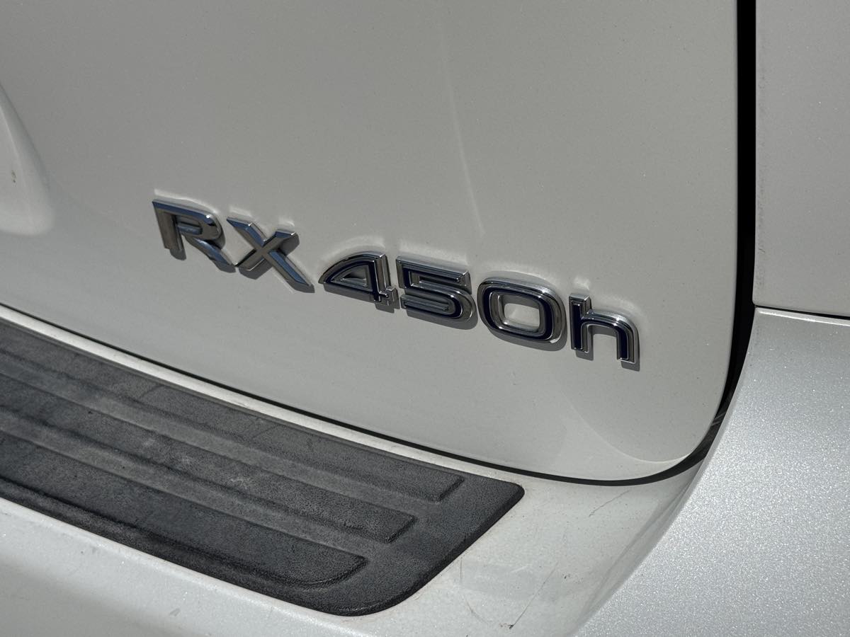 Image #12