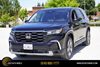 2024 Honda Pilot EX-L 8 Passenger