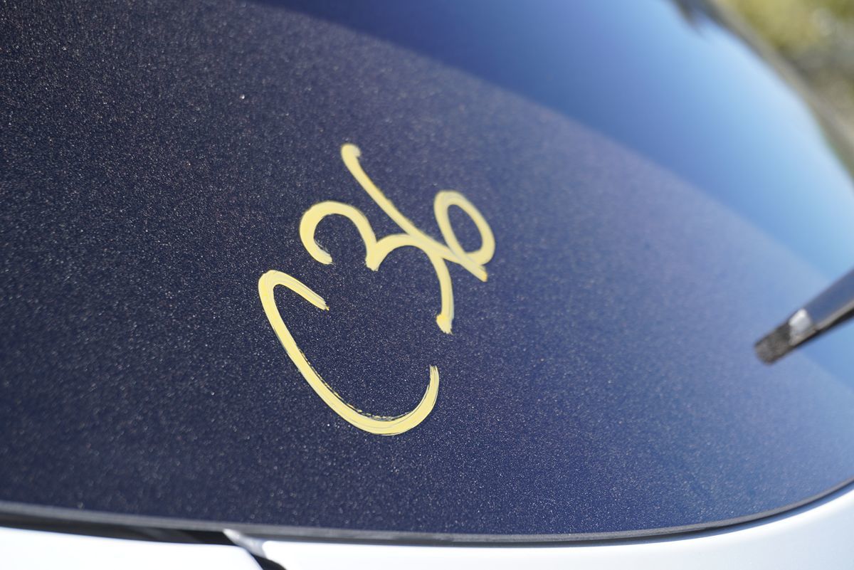 Image #36