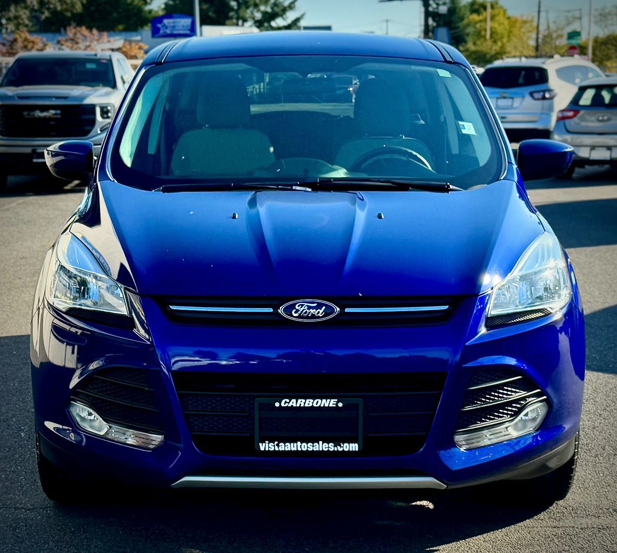 2014 Ford Escape SE photo 7