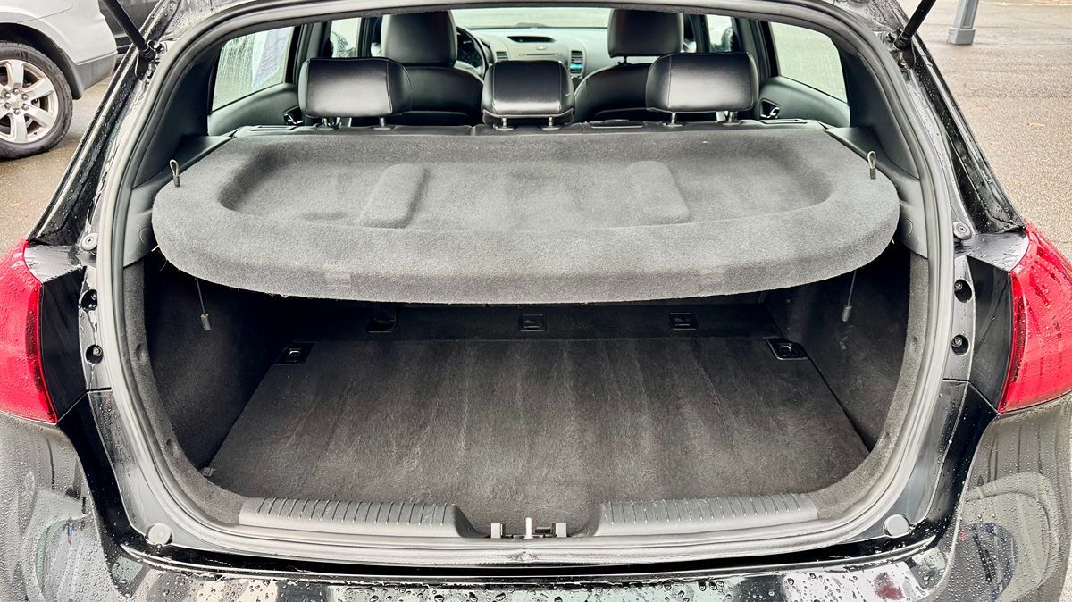 2016 Kia Forte 5-Door SX photo 3