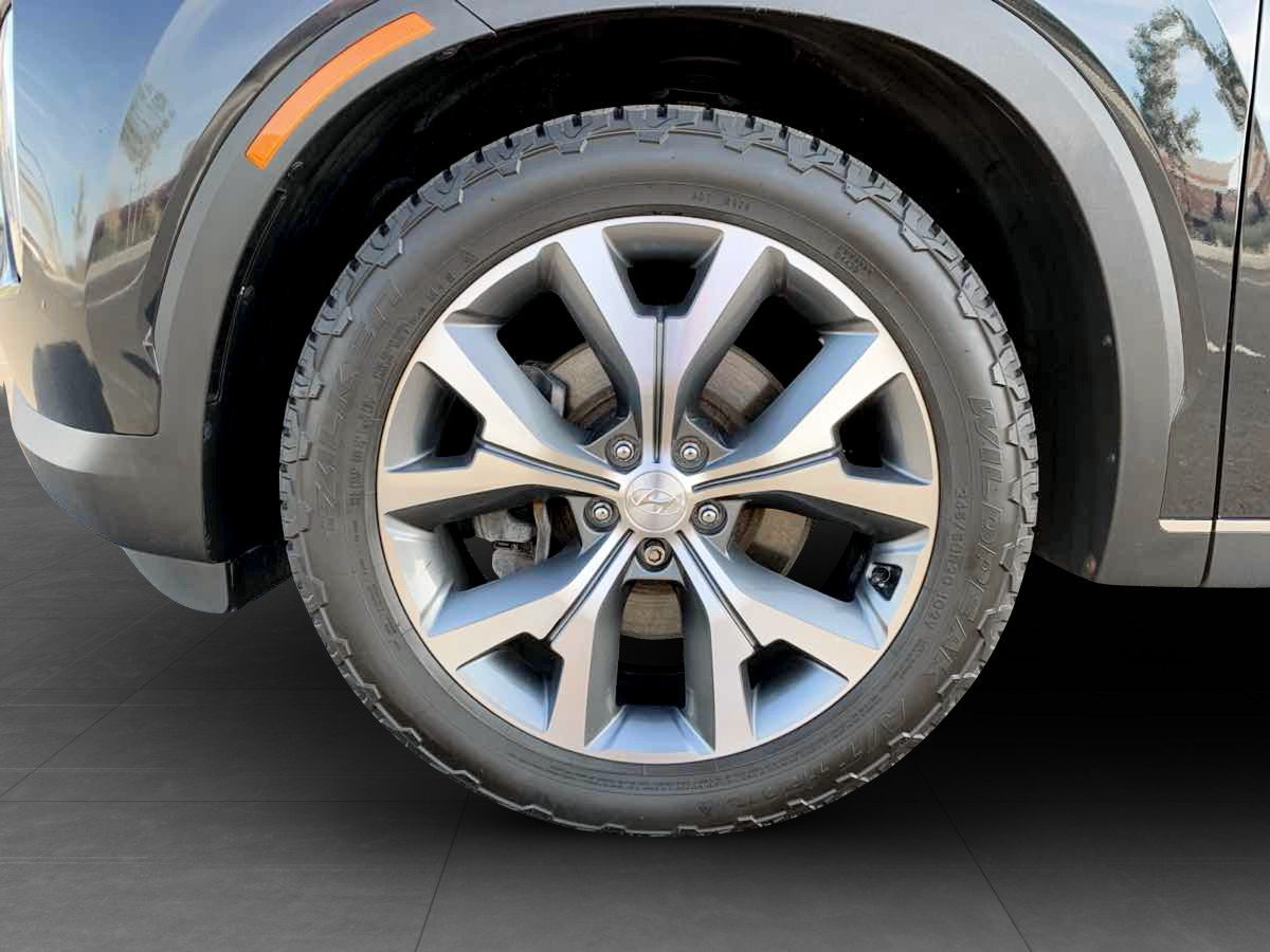 Photo 10 of this Hyundai Palisade