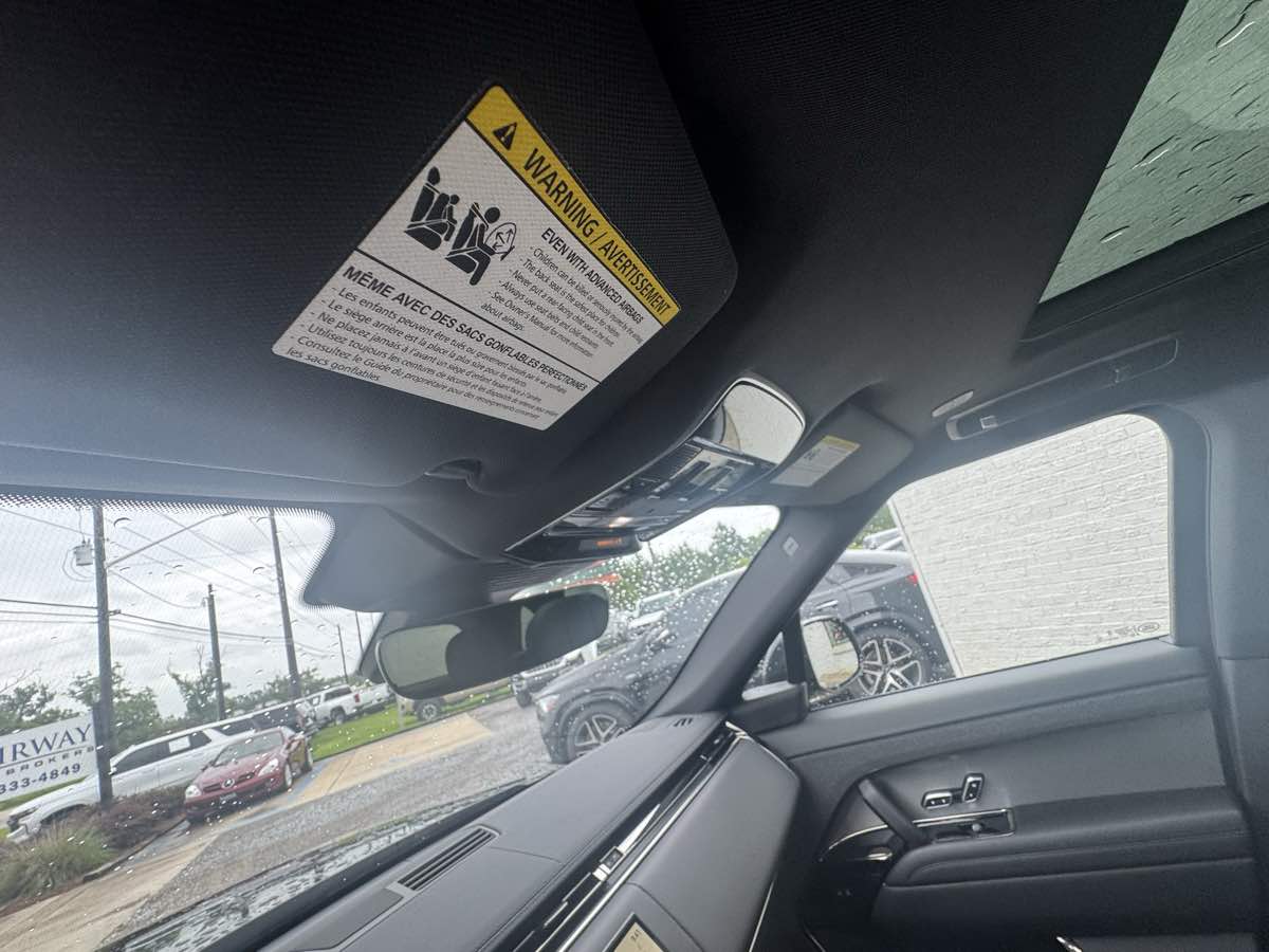 Image #17