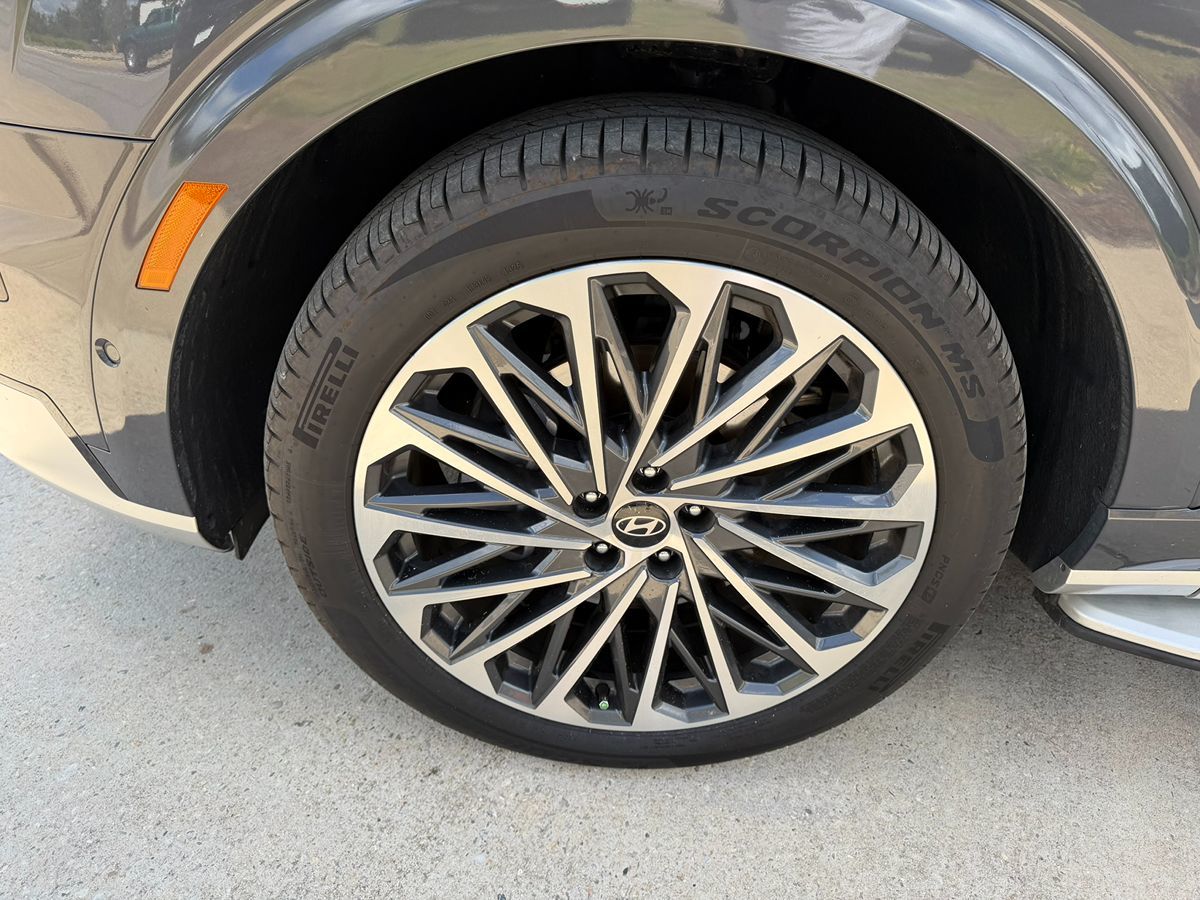 Image #12
