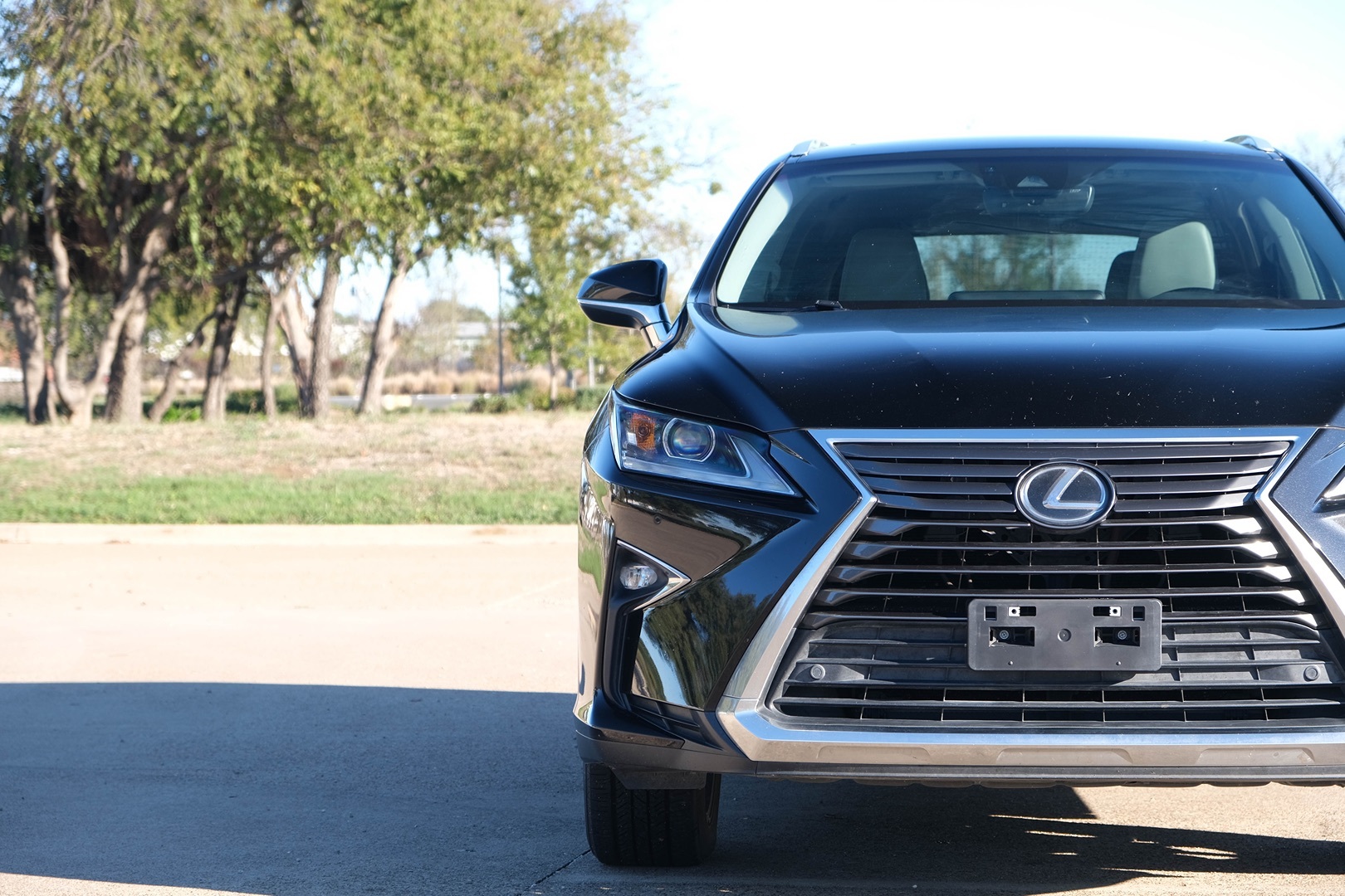 2017 Lexus RX 350 photo 2