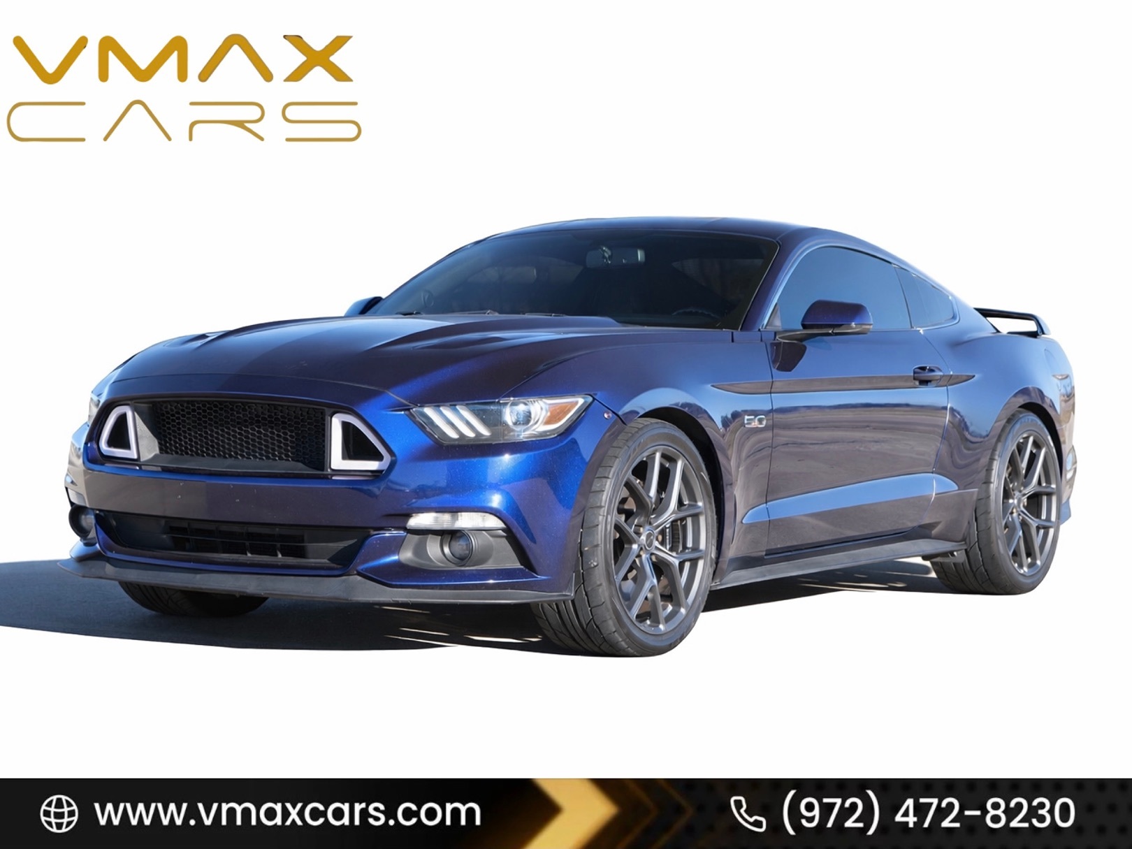2015 Ford Mustang GT 50 Years Limited Edition's photo
