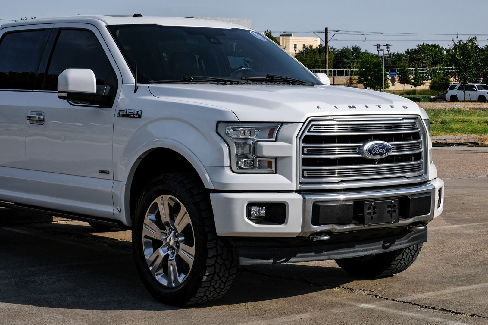 Image #12